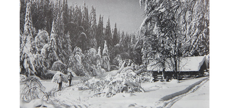 Actief bezig zijn in een schitterende natuur (Finland)